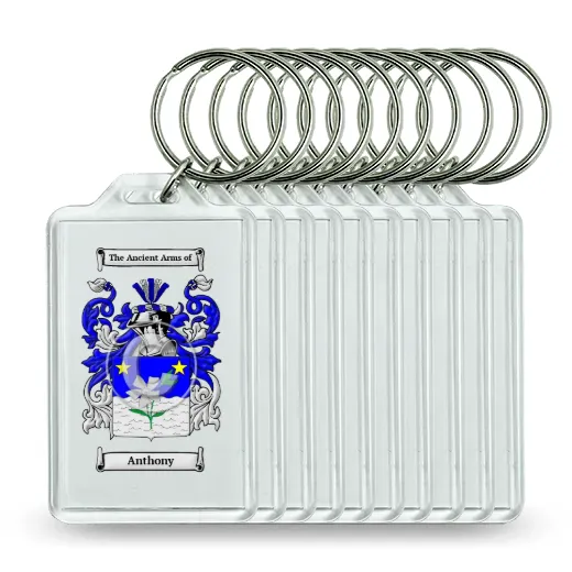 Anthony Set of 10 Keychains