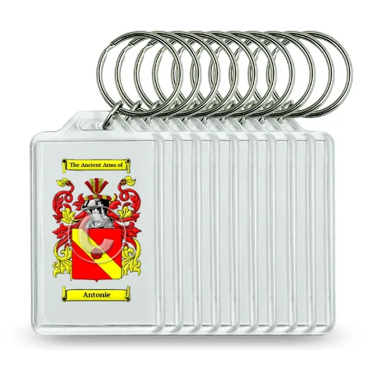 Antonie Set of 10 Keychains