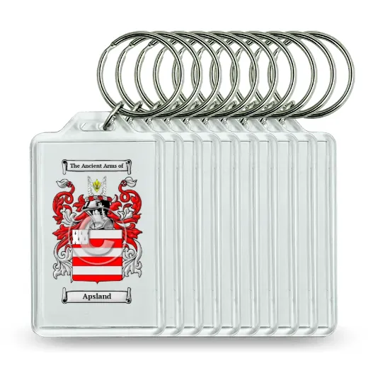 Apsland Set of 10 Keychains