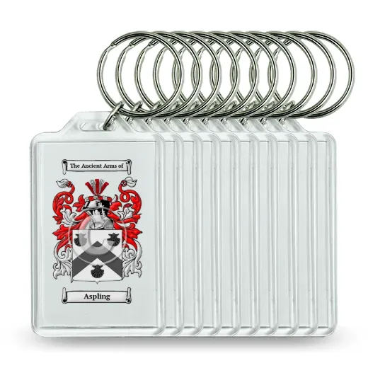 Aspling Set of 10 Keychains