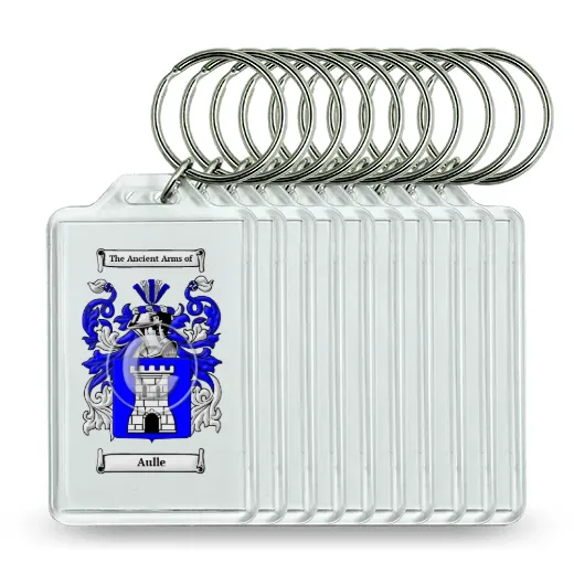 Aulle Set of 10 Keychains