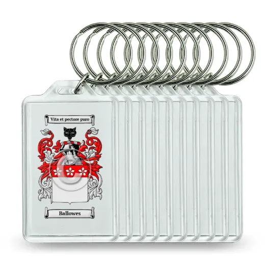 Ballowes Set of 10 Keychains