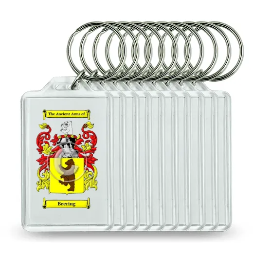 Beering Set of 10 Keychains