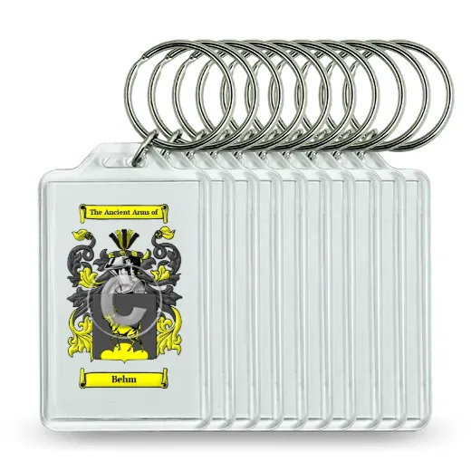 Behm Set of 10 Keychains