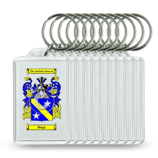 Bergs Set of 10 Keychains