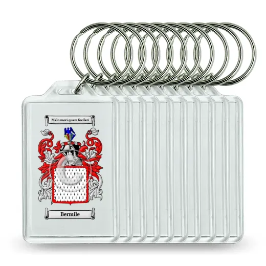 Bermile Set of 10 Keychains