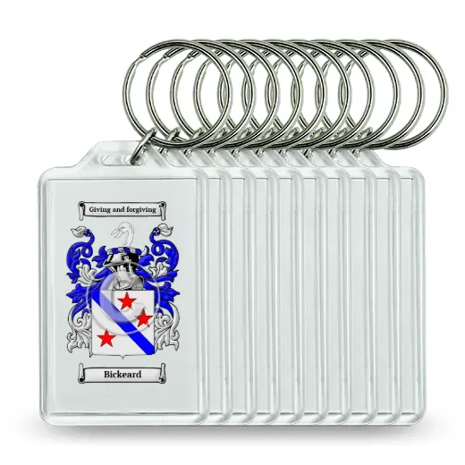 Bickeard Set of 10 Keychains