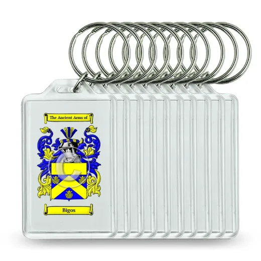 Bigos Set of 10 Keychains