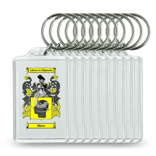 Bince Set of 10 Keychains