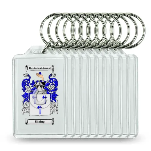 Bitting Set of 10 Keychains