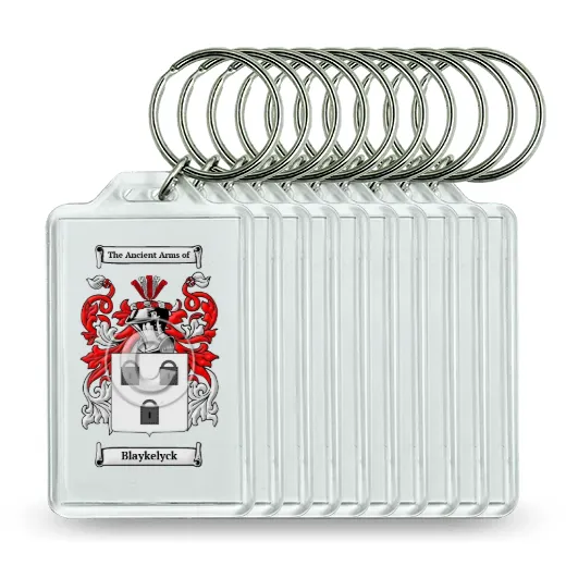 Blaykelyck Set of 10 Keychains