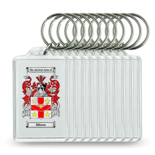 Bliwen Set of 10 Keychains