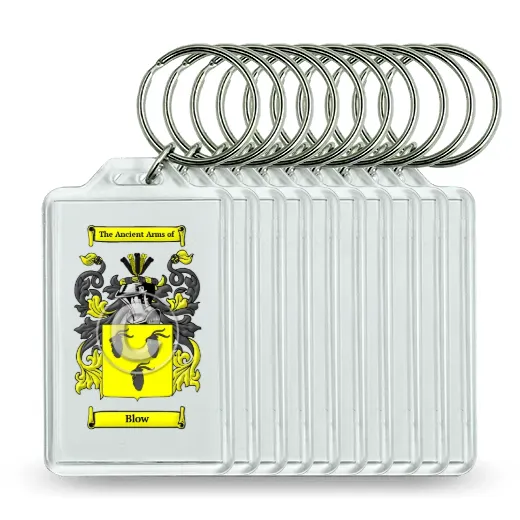 Blow Set of 10 Keychains