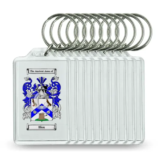 Blox Set of 10 Keychains