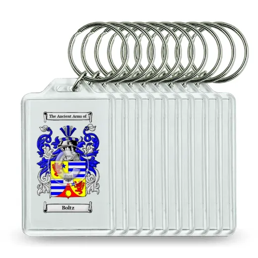 Boltz Set of 10 Keychains