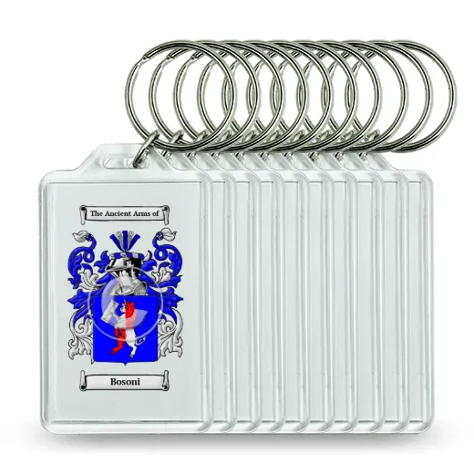 Bosoni Set of 10 Keychains