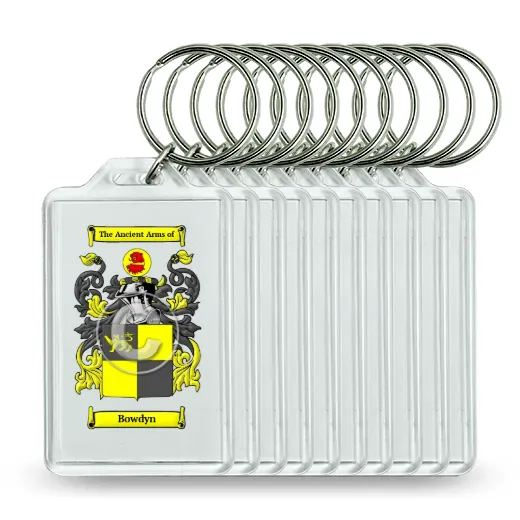 Bowdyn Set of 10 Keychains