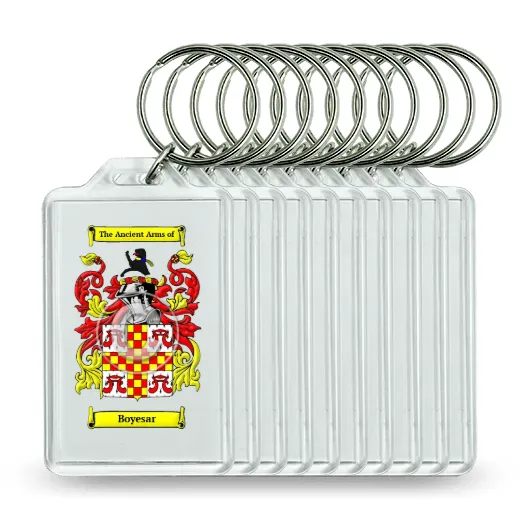Boyesar Set of 10 Keychains