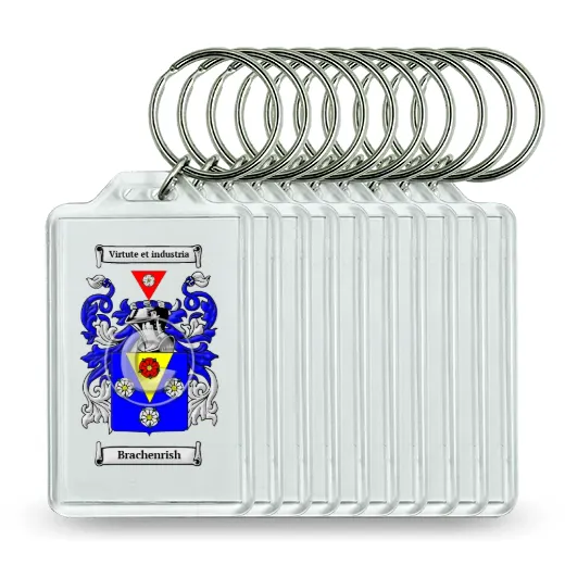 Brachenrish Set of 10 Keychains