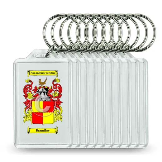 Bramilay Set of 10 Keychains