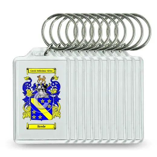 Brede Set of 10 Keychains
