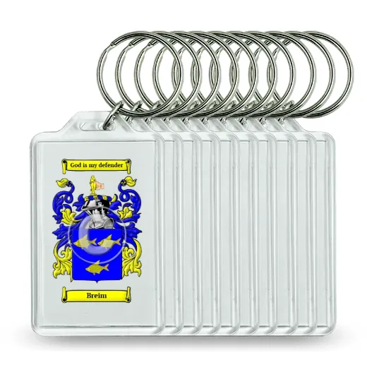 Breim Set of 10 Keychains