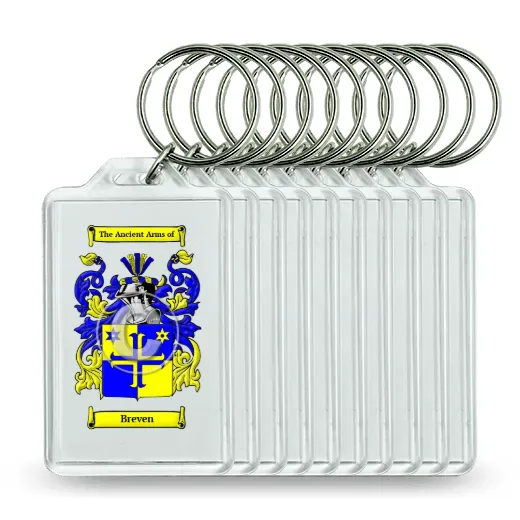 Breven Set of 10 Keychains