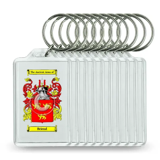 Briend Set of 10 Keychains