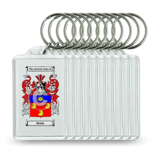 Brisis Set of 10 Keychains