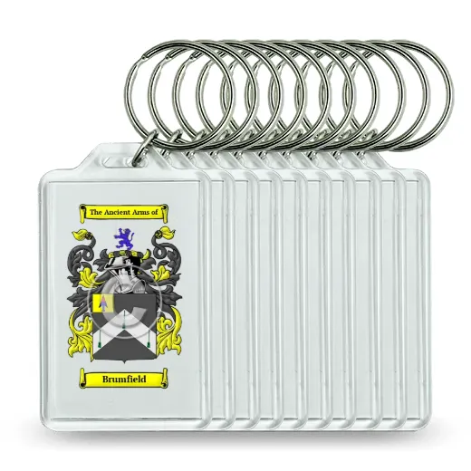 Brumfield Set of 10 Keychains