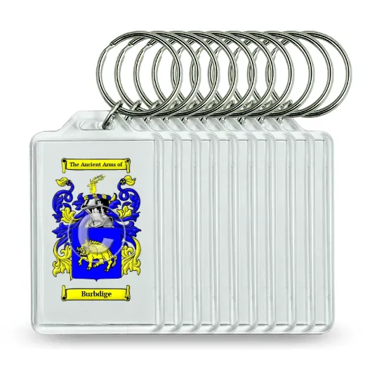 Burbdige Set of 10 Keychains