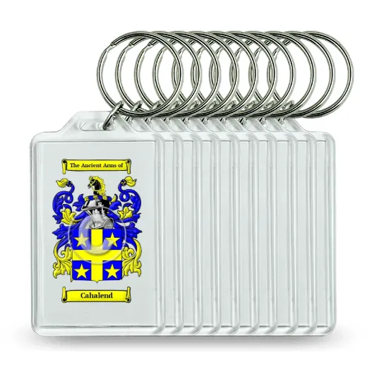 Cahalend Set of 10 Keychains