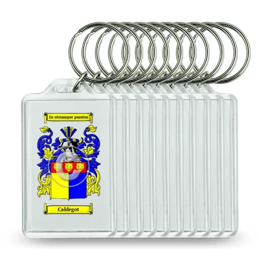 Caldegot Set of 10 Keychains