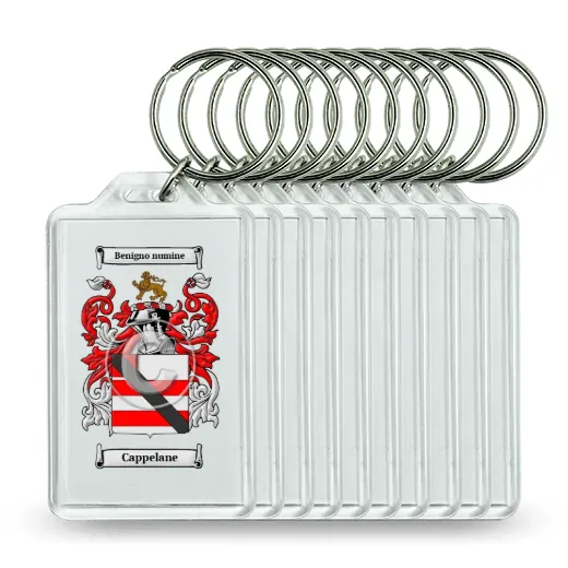 Cappelane Set of 10 Keychains