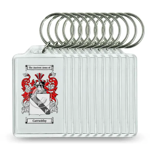 Cattwithy Set of 10 Keychains