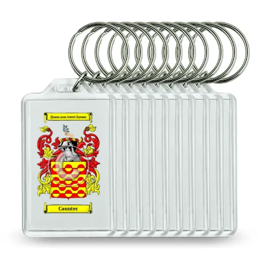 Caunter Set of 10 Keychains