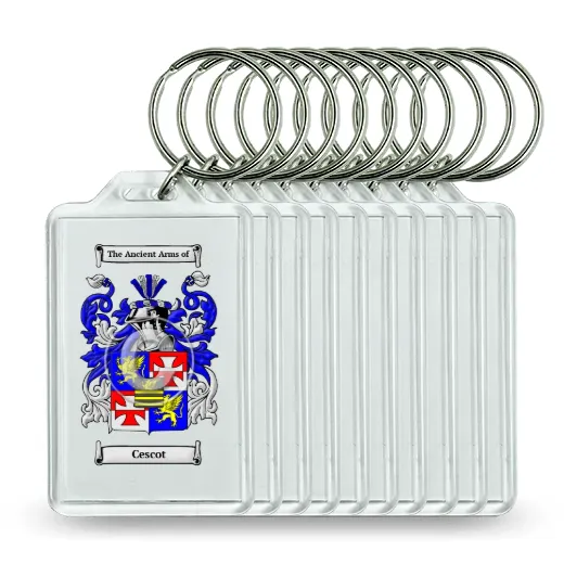 Cescot Set of 10 Keychains