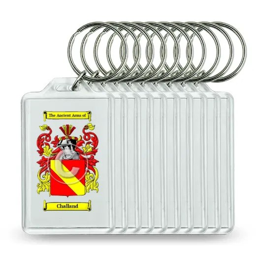 Challand Set of 10 Keychains