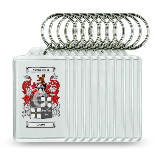 Chove Set of 10 Keychains