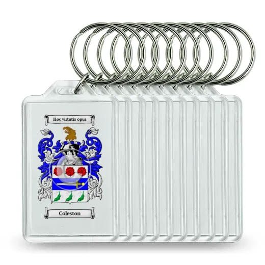 Coleston Set of 10 Keychains