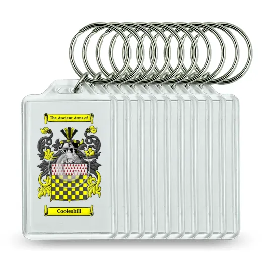 Cooleshill Set of 10 Keychains