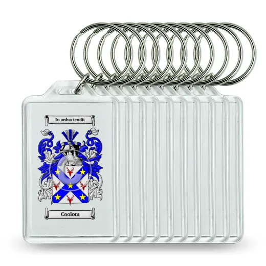 Coolom Set of 10 Keychains