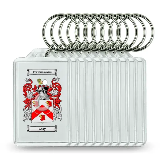 Cosy Set of 10 Keychains