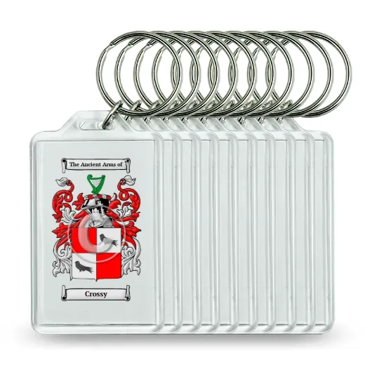 Crossy Set of 10 Keychains