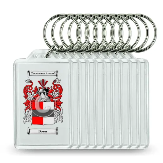 Dozer Set of 10 Keychains