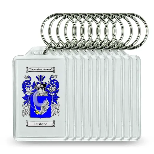 Dushane Set of 10 Keychains