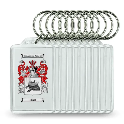 Ebart Set of 10 Keychains