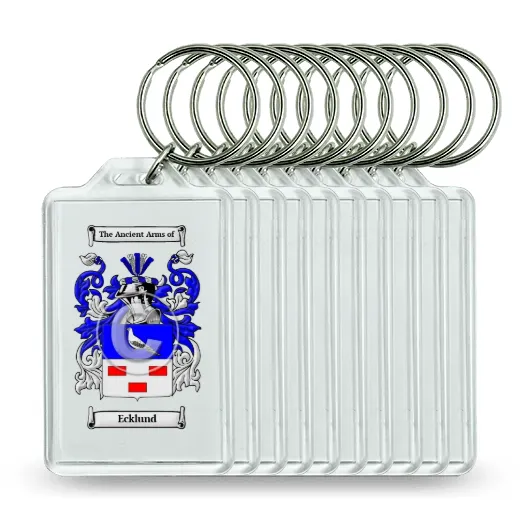 Ecklund Set of 10 Keychains