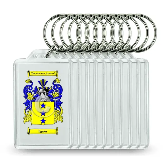 Egnor Set of 10 Keychains