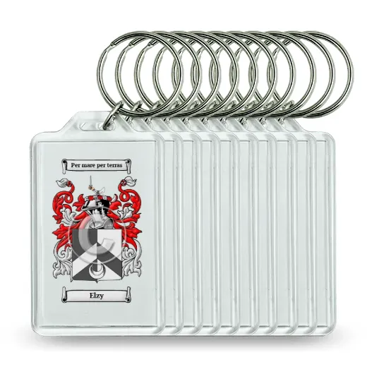 Elzy Set of 10 Keychains